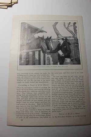 Seller image for Article/story: Wild Horses for sale by Hammonds Antiques & Books