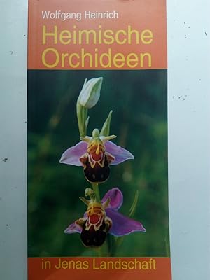 Bild des Verkufers fr Heimische Orchideen in Jenas Landschaft zum Verkauf von Versandantiquariat Jena