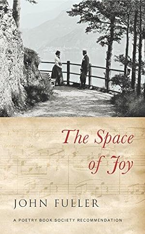 Seller image for The Space of Joy for sale by WeBuyBooks