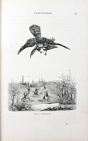 Image du vendeur pour La Fauconnerie ancienne et moderne. Supplment au tome deuxime des leons lmentaires sur l'histoire naturelle des oiseaux mis en vente par Hugues de Latude