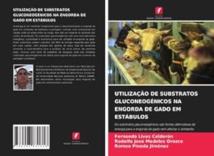 Imagen del vendedor de UTILIZAO DE SUBSTRATOS GLUCONEOGNICOS NA ENGORDA DE GADO EM ESTBULOS : Os substratos gluconeognicos so fontes alternativas de energia para a engorda de gado sem afectar o ambiente. a la venta por AHA-BUCH GmbH