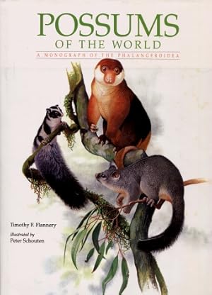 Possums of the World : A Monograph of the Phalangeroidea