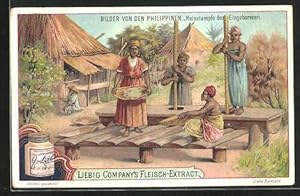 Seller image for Sammelbild Liebig, Bilder von den Philippinen, Reisstampfe der Eingeborenen for sale by Bartko-Reher