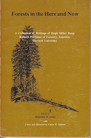 Forests in the Here and Now. A Collection of Writings of Hugh Miller Raup, Bullard Professor of F...