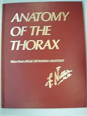 Bild des Verkufers fr Anatomy Of The Thorax Taken from Atlas Of Human Anatomy zum Verkauf von PB&J Book Shop