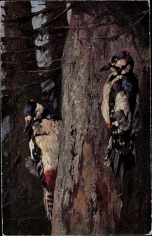 Künstler Ansichtskarte / Postkarte Schmidt, Hans, Spechte am Baum - Primus 850