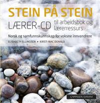 Seller image for Stein p stein. laerer-cd til arbeidsbok og laererressurd for sale by Ruslania