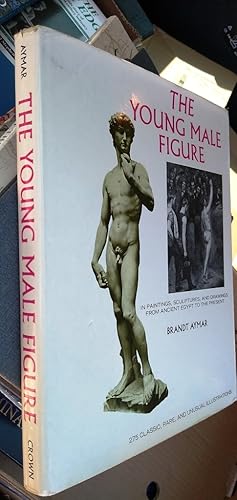 The Young Male Figure