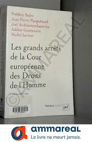 Seller image for Les grands arrts de la cour europenne des Droits de l'Homme for sale by Ammareal