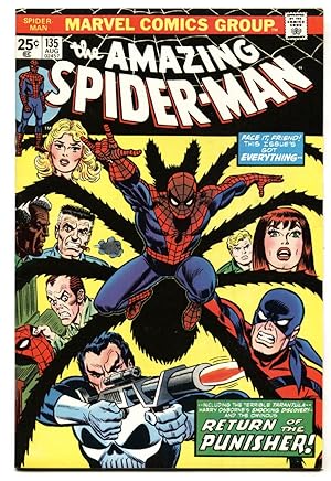 Amazing Spider-Man #135 1974-2nd Punisher comic book