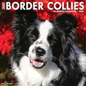 Bild des Verkufers fr Just Border Collies 2021 Wall Calendar (Dog Breed Calendar) zum Verkauf von BombBooks