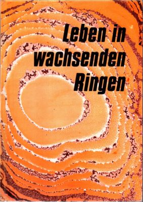 Immagine del venditore per Leben in wachsenden Ringen. Katholisches Hausbuch "Jahr des Herrn" Teil 2. venduto da Leonardu