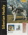 Siberian Husky (Excellence)