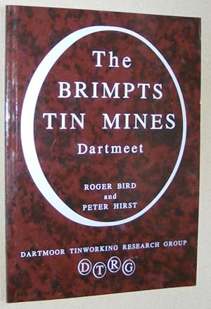 Bild des Verkufers fr The Brimpts Tin Mines, Dartmeet zum Verkauf von Nigel Smith Books