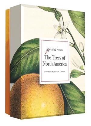 Image du vendeur pour The Trees of North America: A Detailed Notes Card Set by Editors of Abbeville Press [Cards ] mis en vente par booksXpress