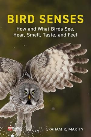 Seller image for Bird Senses: How What Birds See, Hear by Martin, Graham [Paperback ] for sale by booksXpress
