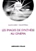 Bild des Verkufers fr Les images de synthèse au cinéma [FRENCH LANGUAGE - Soft Cover ] zum Verkauf von booksXpress