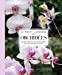 Image du vendeur pour Le petit Larousse des orchidées [FRENCH LANGUAGE - Hardcover ] mis en vente par booksXpress