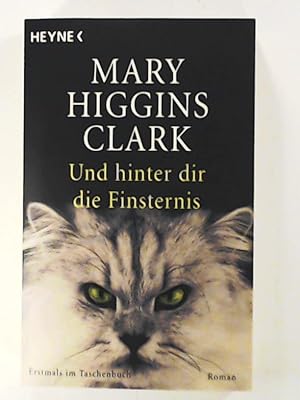 Seller image for Und hinter dir die Finsternis: Roman for sale by Leserstrahl  (Preise inkl. MwSt.)