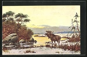 Bild des Verkufers fr Knstler-Ansichtskarte Elch im Morgengrauen am Fluss zum Verkauf von Bartko-Reher