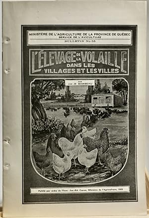 (Poules urbaines) L'élevage de la volaille dans les villages et les villes