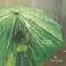Bild des Verkufers fr Le Parapluie vert [FRENCH LANGUAGE - No Binding ] zum Verkauf von booksXpress