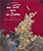 Image du vendeur pour Le Vent dans les sables Tome 5 - Du souk dans la Kasbah [FRENCH LANGUAGE - No Binding ] mis en vente par booksXpress