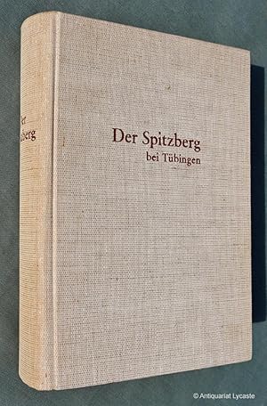 Der Spitzberg bei Tübingen.