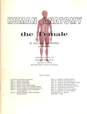 Seller image for HUMAN ANATOMY: THE FEMALE for sale by By The Way Books