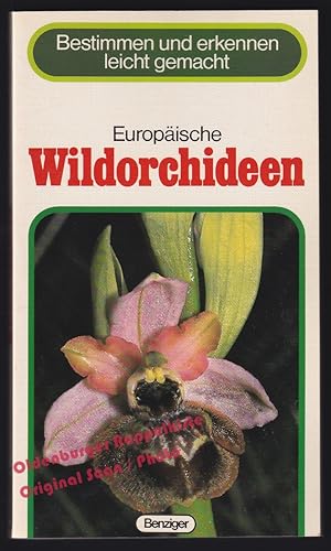 Europäische Wildorchideen: Bestimmen und erkennen leicht gemacht - Delforge, Pierre