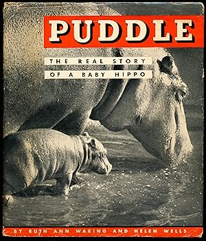 Seller image for PUDDLE. The Real Story of A Baby Hippo for sale by Alkahest Books