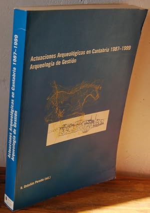 Imagen del vendedor de ACTUACIONES ARQUEOLGICAS EN CANTABRIA. 1987-1999. Aqueologa de gestin (2 Vol.) a la venta por EL RINCN ESCRITO