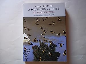 Seller image for Wild Life in a Southern County (Nature Classics Library) for sale by Carmarthenshire Rare Books