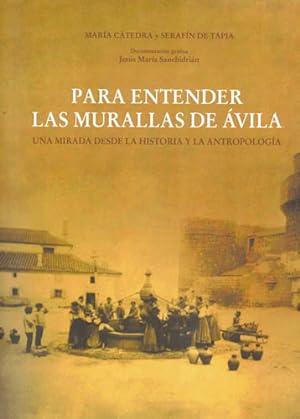 Seller image for Para entender las Murallas de vila. Una mirada desde la historia y la antropologa for sale by Librera Cajn Desastre