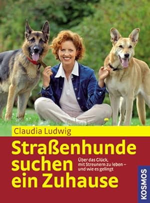 Straßenhunde suchen ein Zuhause: Über das Glück, mit Streunern zu leben - und wie es gelingt