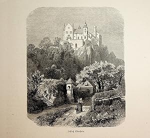 KÄRNTEN, Eberstein, Schloss Eberstein, Ansicht ca. 1880 originale Druckgrafik