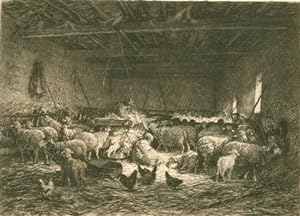 Bild des Verkufers fr Schafe im Stall. [I.] zum Verkauf von Antiquariat Weinek