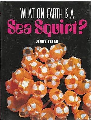 Bild des Verkufers fr What on Earth is a Sea Squirt? zum Verkauf von Turn The Page Books