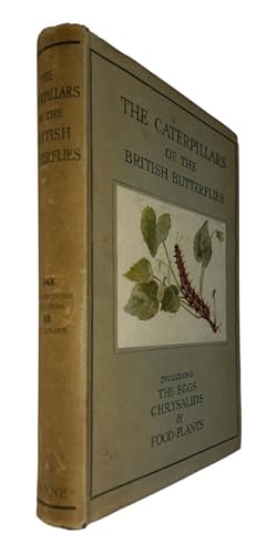 Immagine del venditore per The Caterpillars of the British Butterflies including the Eggs, Chrysalids and Food-Plants venduto da PEMBERLEY NATURAL HISTORY BOOKS BA, ABA