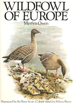 Wildfowl of Europe