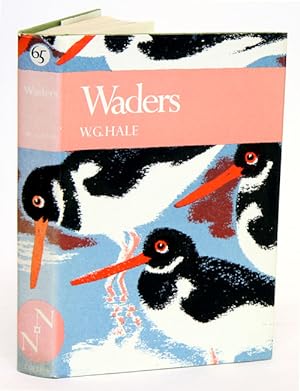 Seller image for Waders. for sale by Andrew Isles Natural History Books