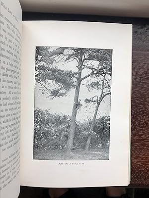 Image du vendeur pour Wild Life at Home: how to study and photograph it mis en vente par wild goose books