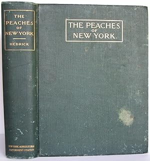 THE PEACHES OF NEW YORK : Report of the New York Agricultural Experiment Station for the Year 1916