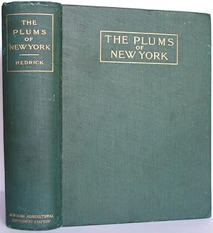 Seller image for The PLUMS OF NEW YORK, Report of the New York Agricultural Experiment Station for the Year 1910 for sale by The Wild Muse