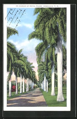 Postcard Honolulu, HI, an Avenue of Royal Palms