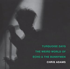 Seller image for Turquoise Days : The Weird World of Echo & the Bunnymen for sale by GreatBookPrices