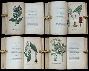 Seller image for Flore des plantes vnneuses de la Suisse. Contenant leur description, l'poque de leur floraison, les lieux o elles sont croissent naturellement, l'indication de celles qui sont emplyes en mdecine, les symptmes qu'elles produisent sur l'conomie animale, et les prmiers soins  donner dans les empoisennements. Destine  l'usage des coles et des gens de la campagne. for sale by Biblion Antiquariat