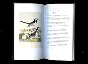 Seller image for Graves' Garden Birds | Selected British Garden Birds for sale by Little Stour Books PBFA Member