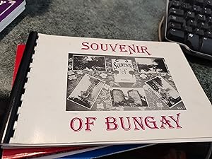 Immagine del venditore per Souvenir of Bungay venduto da SGOIS