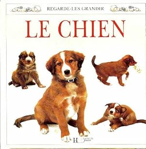 Seller image for Le chien - Collectif for sale by Book Hmisphres